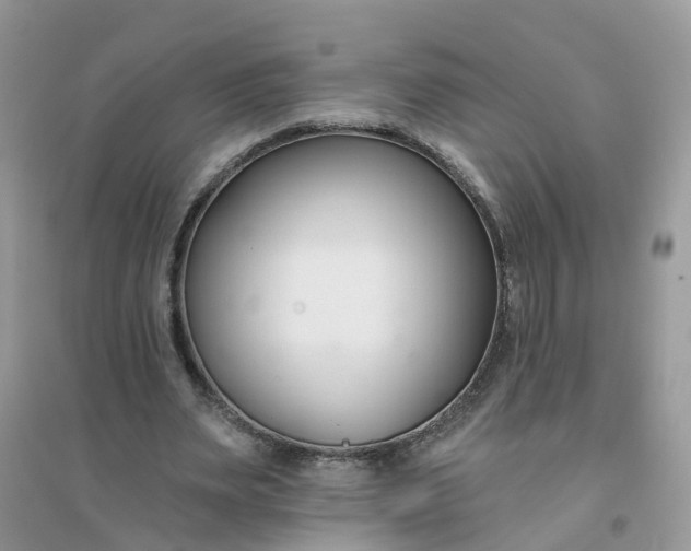 X0000096150487200802011236