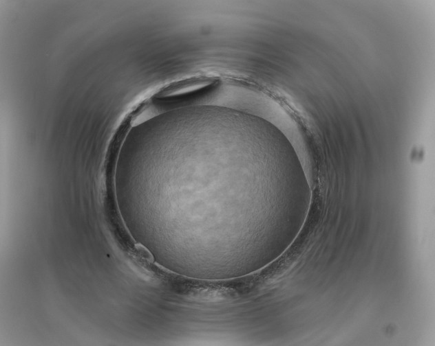 X0000096150488200802011236