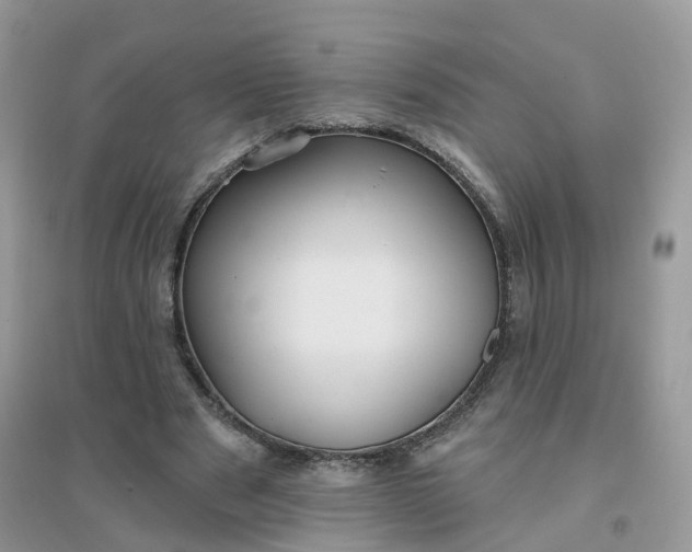X0000096150489200802011236