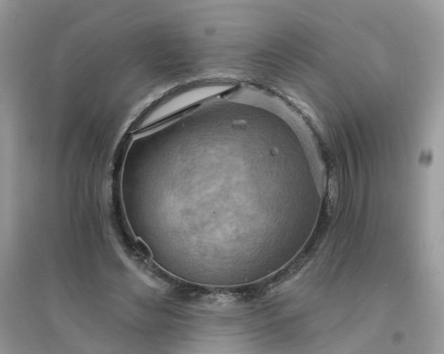 X0000096150492200802011236