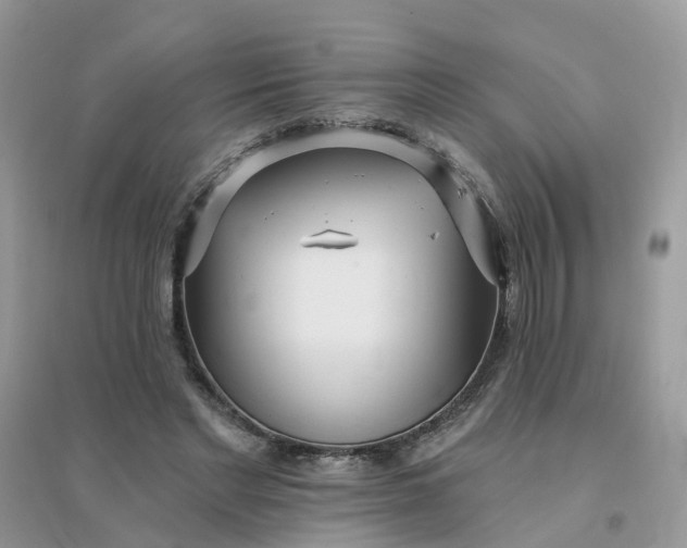 X0000096150493200802011236