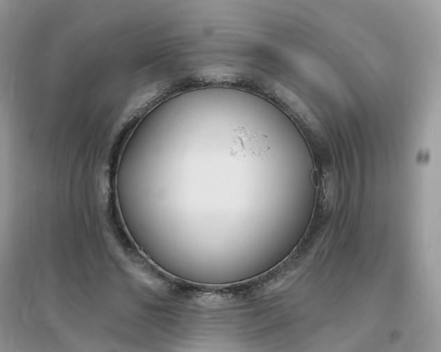 X0000096150494200802011236