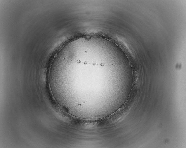 X0000096150495200802011236