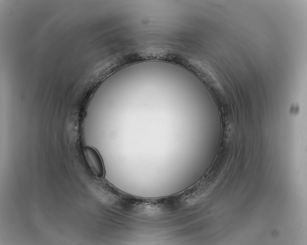 X0000096150498200802011236