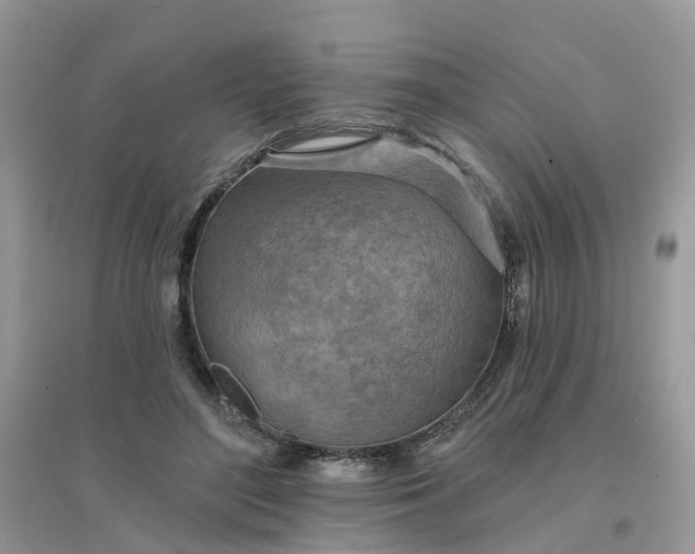 X0000096150500200802011236