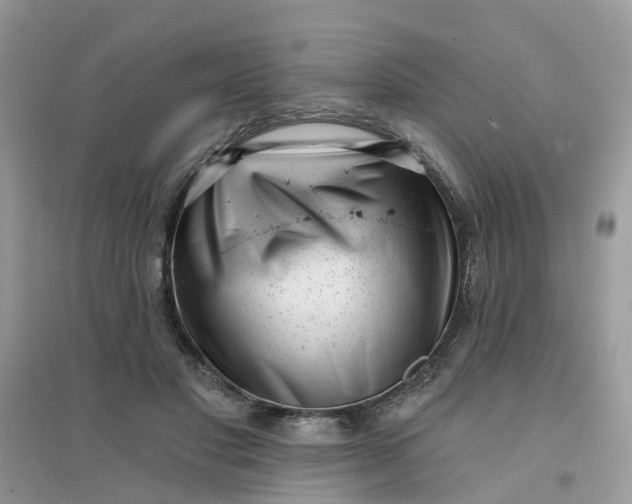 X0000096150501200802011236