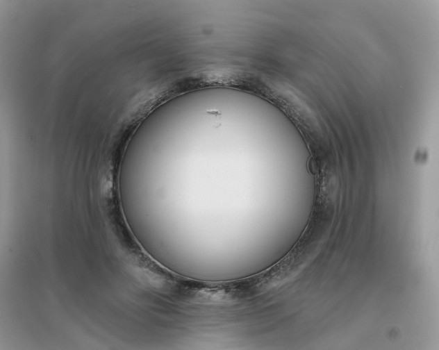 X0000096150502200802011236