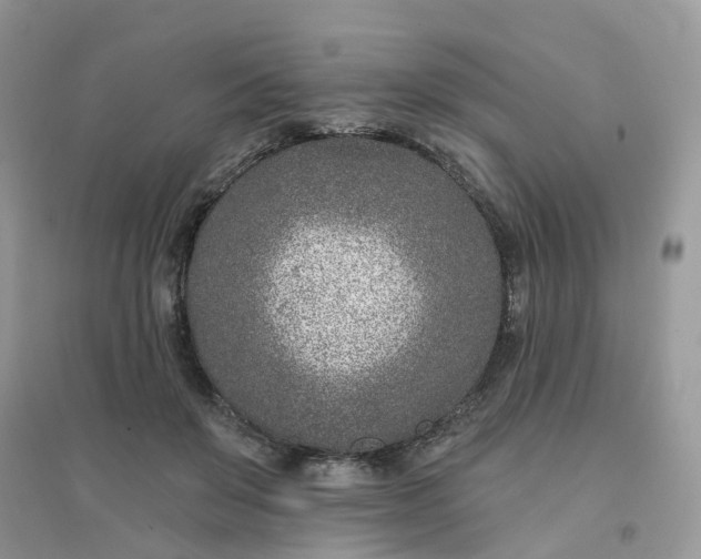 X0000096150503200802011236