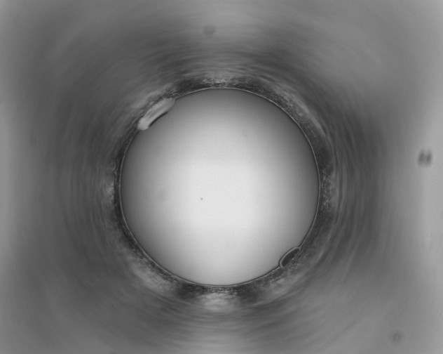 X0000096150505200802011236
