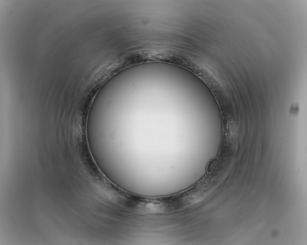 X0000096150506200802011236