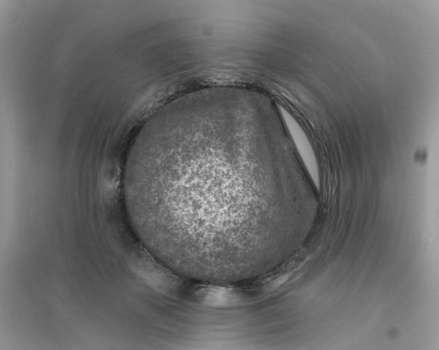 X0000096150507200802011236