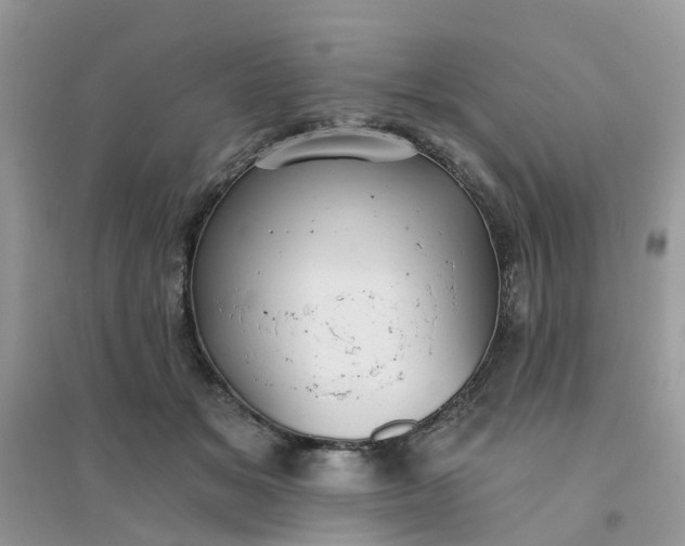 X0000096150509200802011236