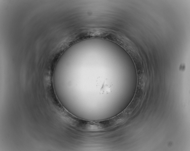 X0000096150510200802011236