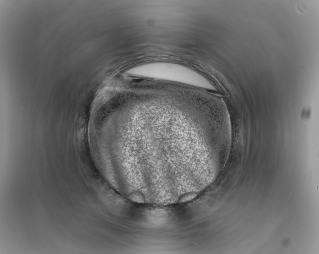 X0000096150513200802011236