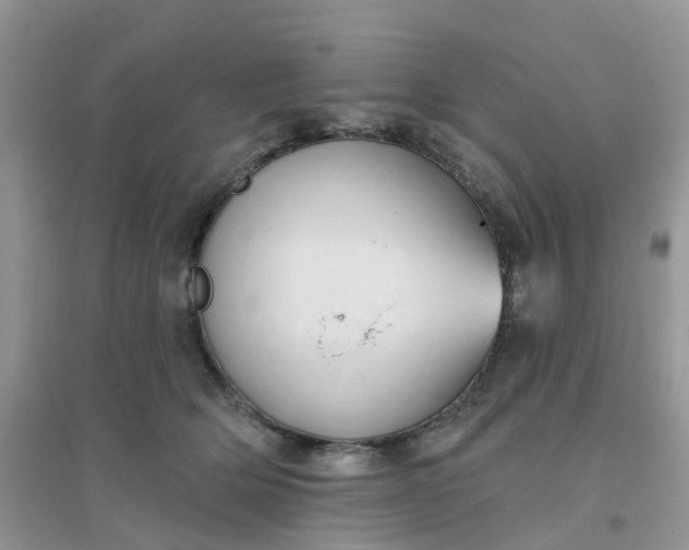 X0000096150514200802011236