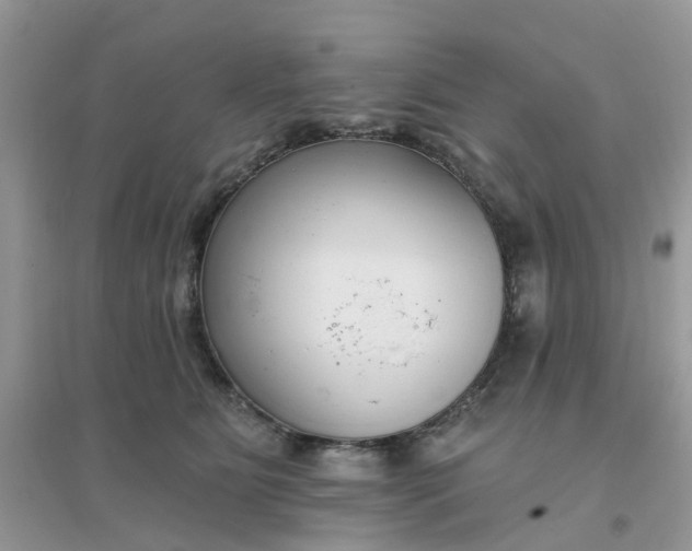 X0000096150515200802011236