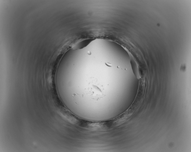 X0000096150516200802011236