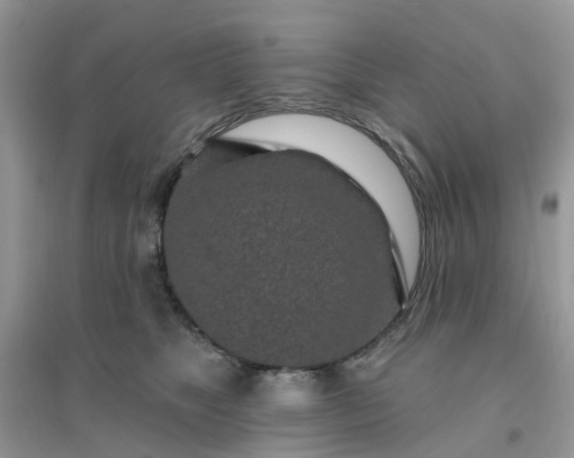 X0000096150517200802011236
