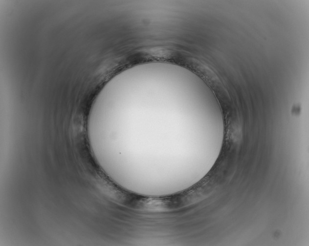 X0000096150518200802011236