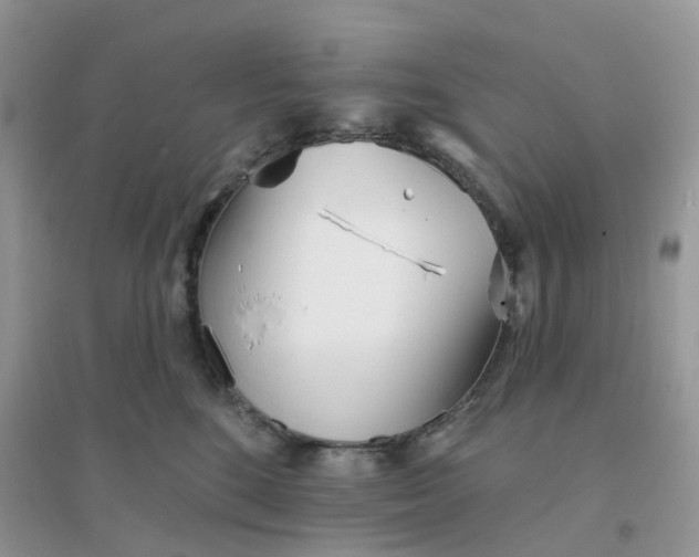 X0000096150520200802011236