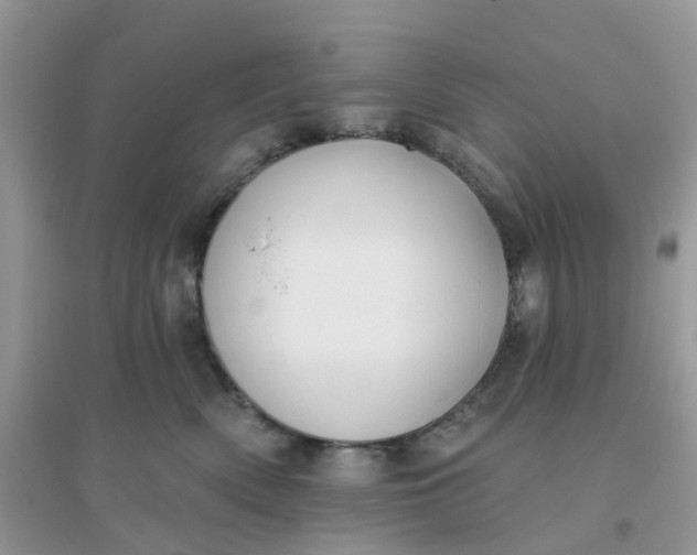 X0000096150522200802011236