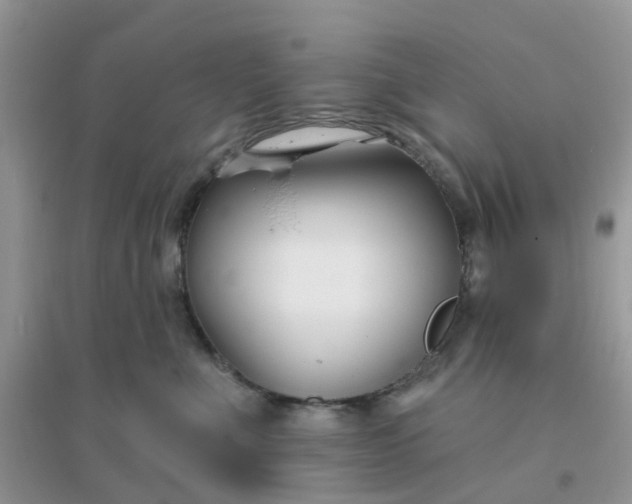 X0000096150523200802011236