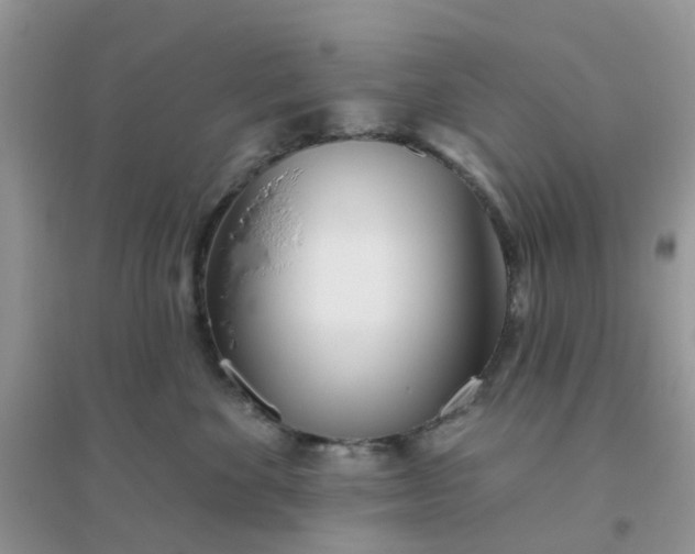 X0000096150524200802011236