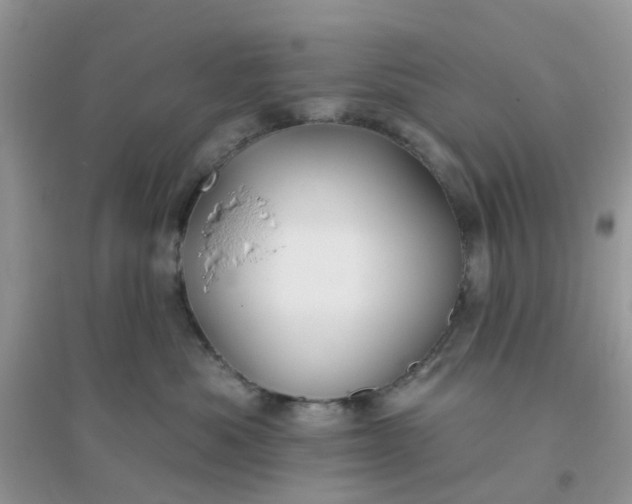 X0000096150525200802011236