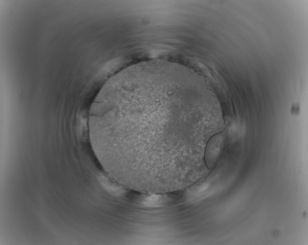 X0000096150527200802011235