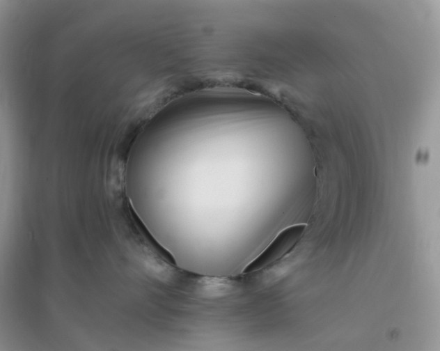 X0000096150528200802011235