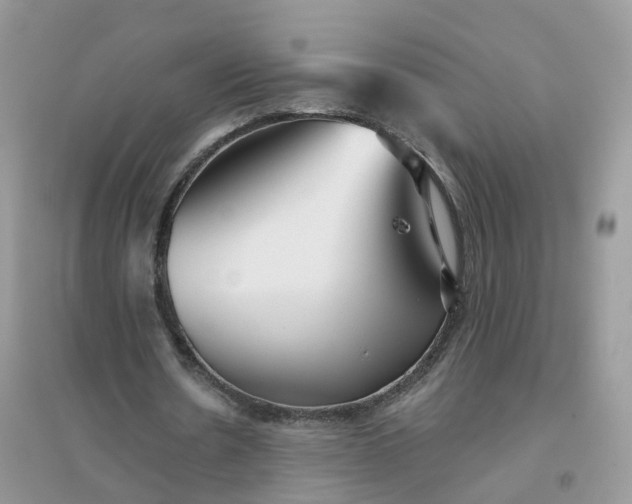 X0000096150530200802011235