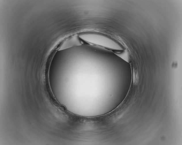 X0000096150531200802011235