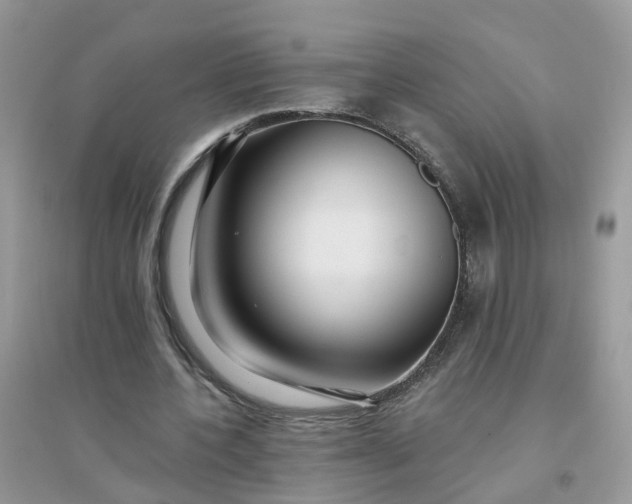 X0000096150532200802011235