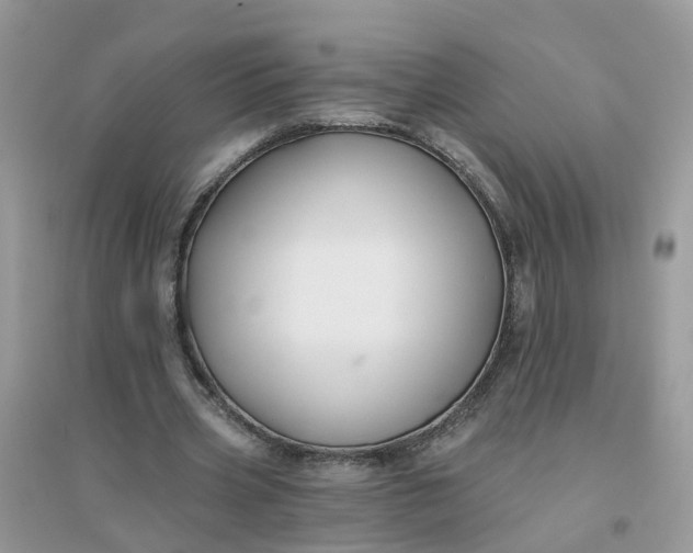 X0000096150533200802011235