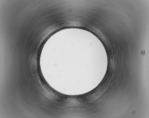 X0000096150534200802011235