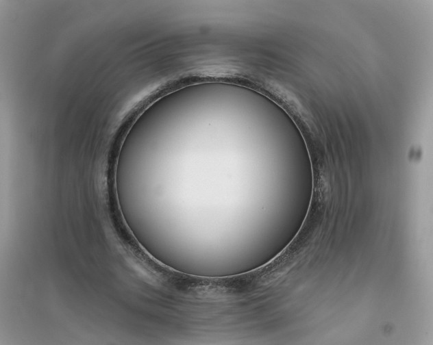 X0000096150535200802011235