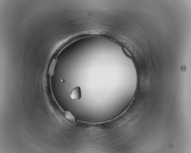 X0000096150536200802011235
