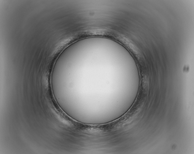 X0000096150537200802011235