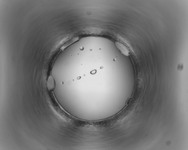 X0000096150538200802011235