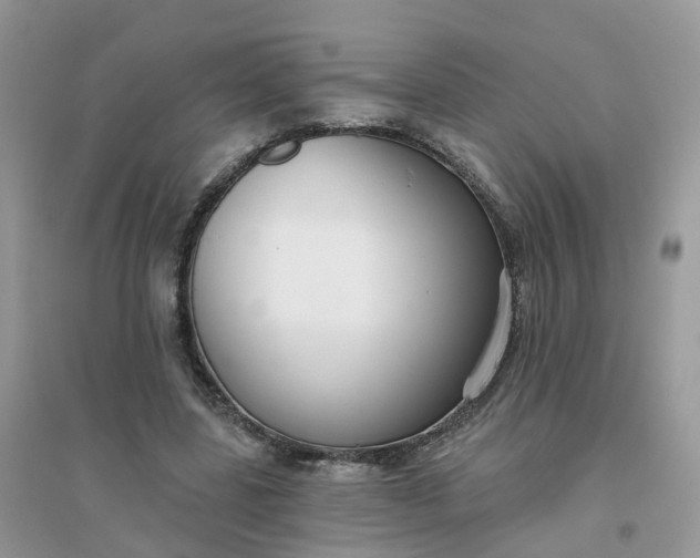 X0000096150539200802011235