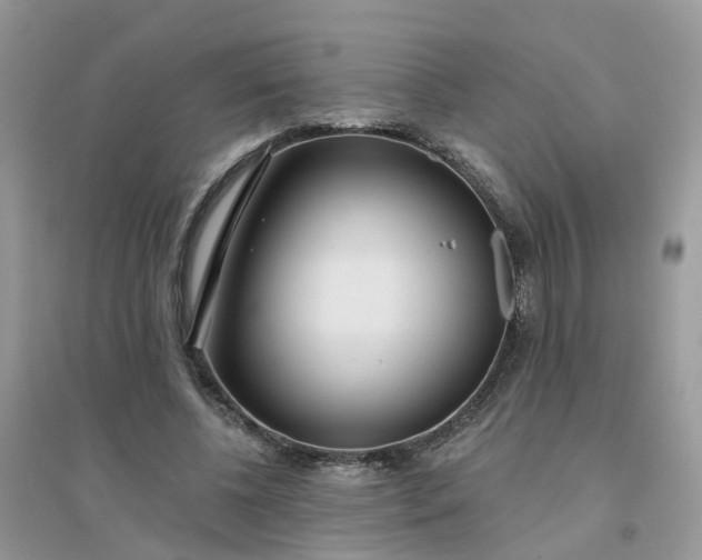 X0000096150540200802011235