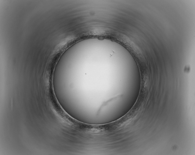 X0000096150542200802011235