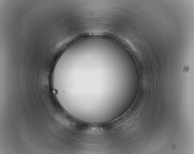 X0000096150543200802011235