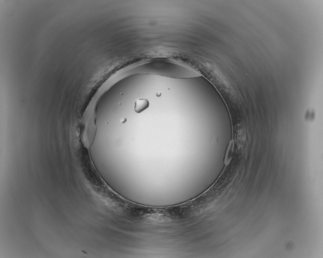 X0000096150544200802011235