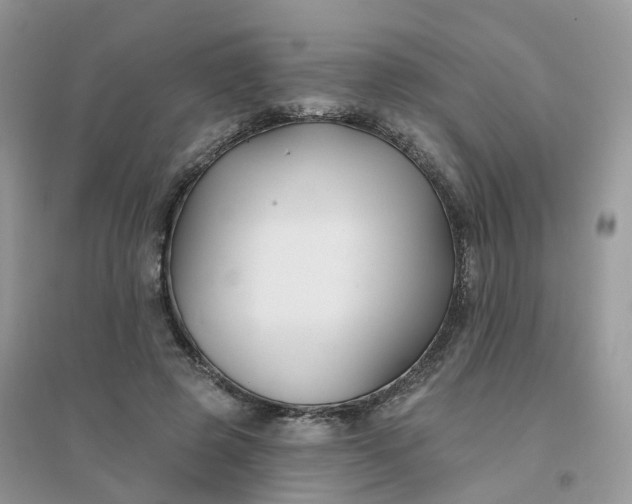 X0000096150545200802011235