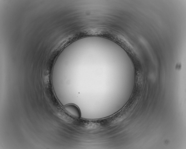 X0000096150549200802011235