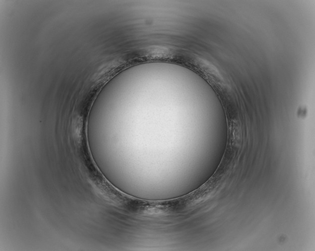 X0000096150550200802011235
