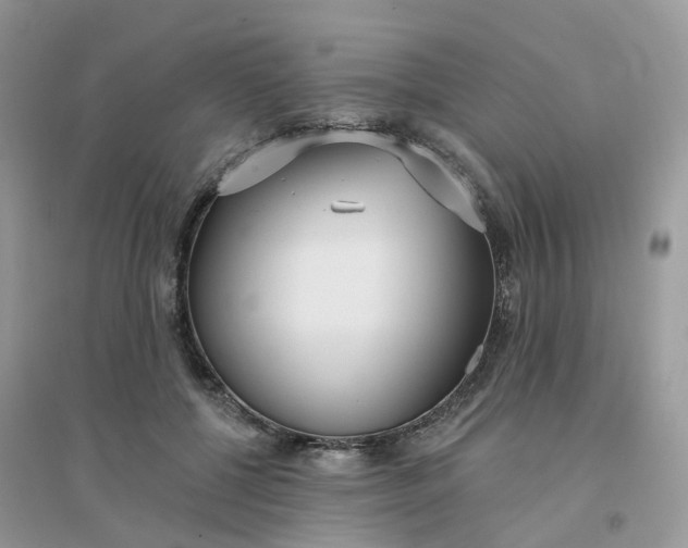 X0000096150552200802011235