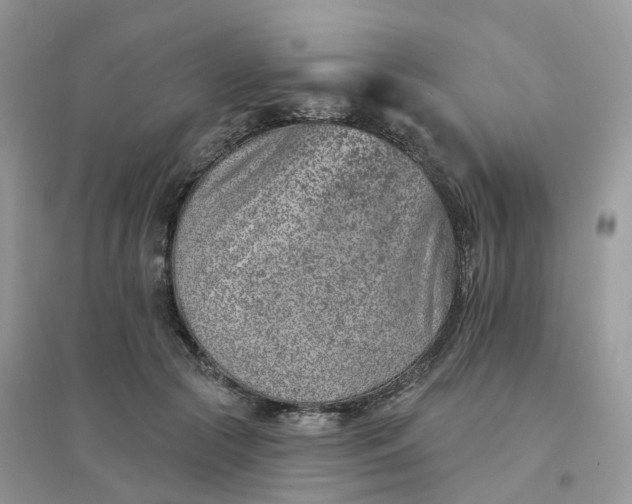 X0000096150553200802011235