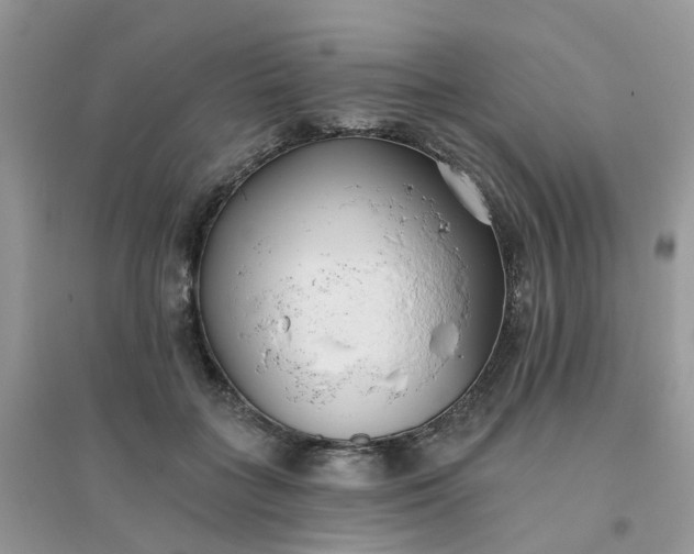 X0000096150555200802011235